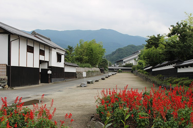 中路地の写真