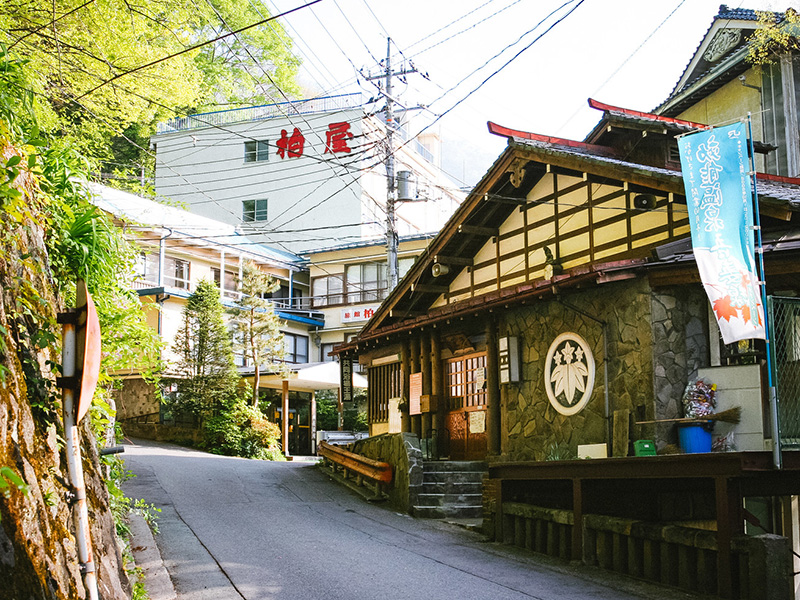 旧河原湯温泉 王湯の写真