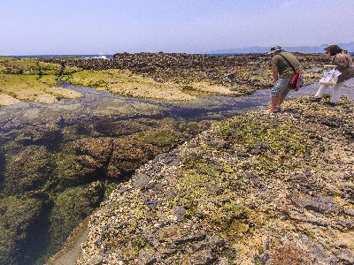 ジオパーク 恵比須島の写真