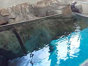 湯岐温泉