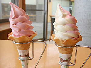 なんとダリアのソフトクリーム思いのほか旨い