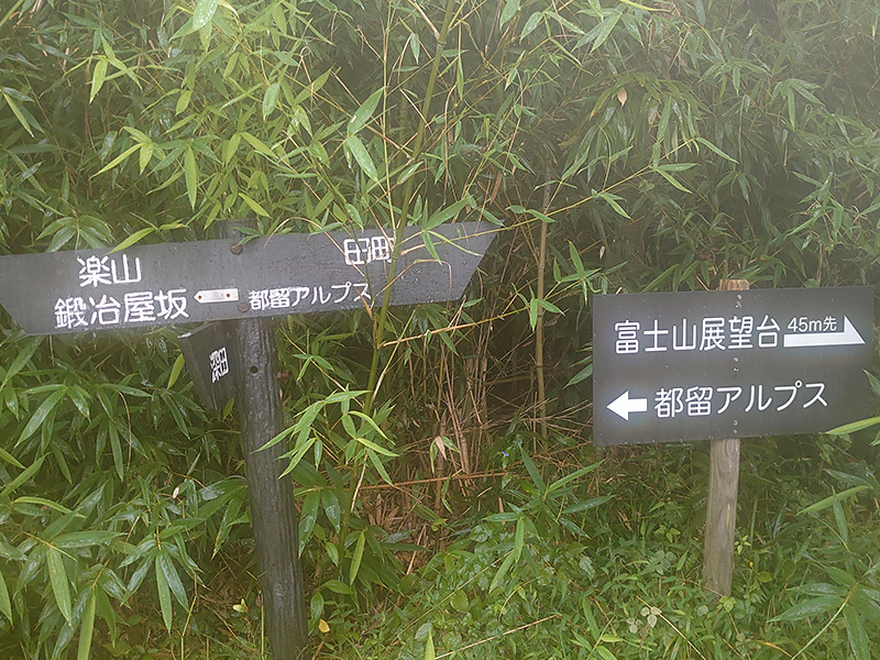 分岐の写真