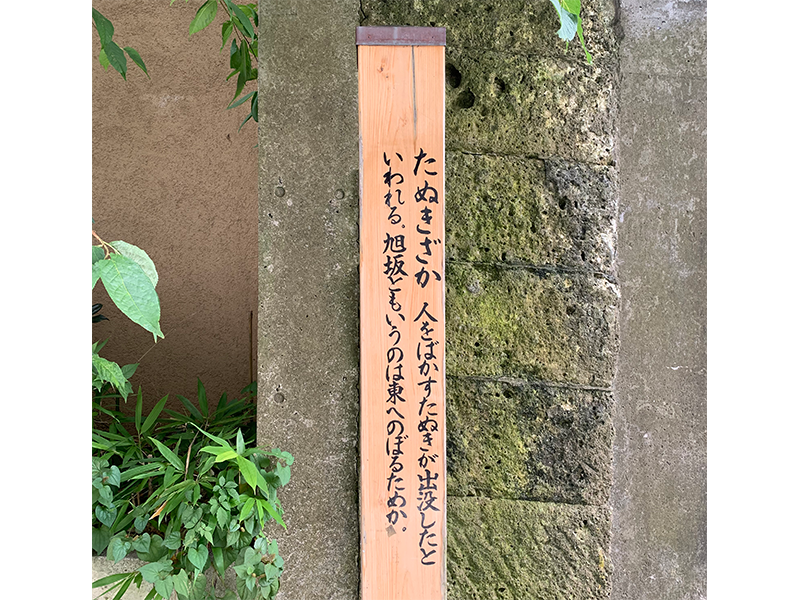 狸坂の写真2