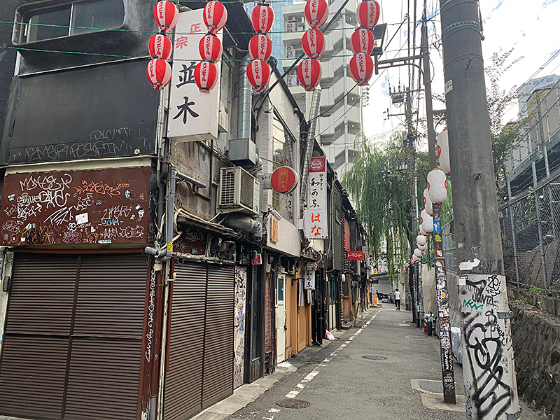 のんべい横丁の写真