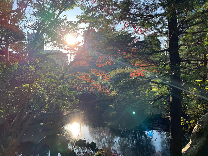 大隈庭園の写真2
