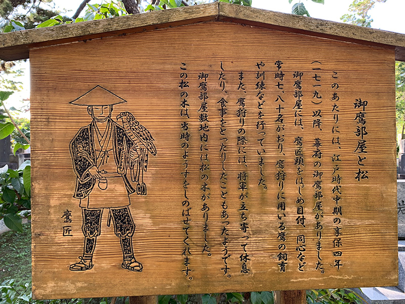 「御鷹部屋と松」の写真