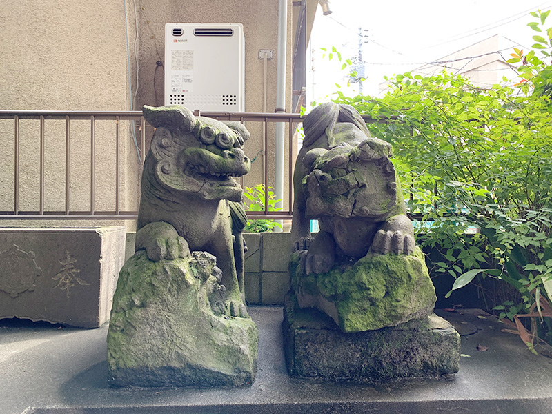 狛犬の写真
