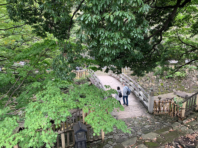 公園の写真
