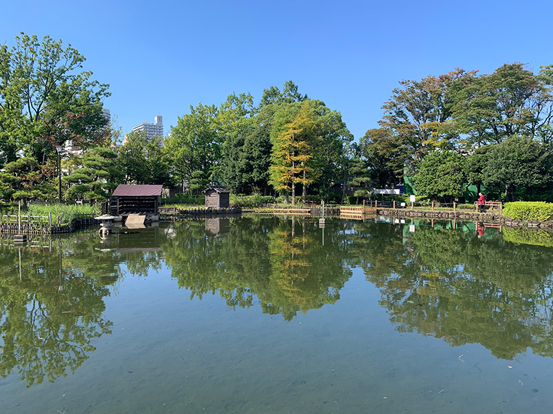 荒川自然公園の写真2