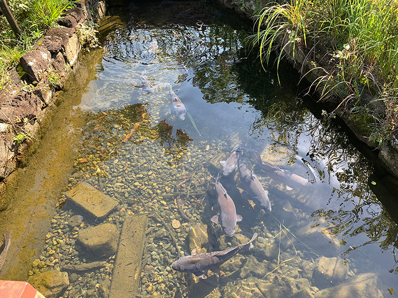 荒川自然公園の写真4