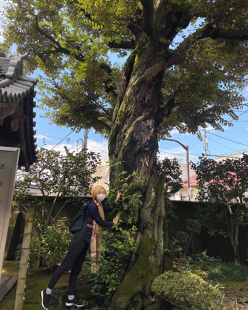 「心惹かれるものにふれ」の写真