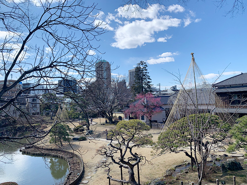 肥後細川庭園の写真1