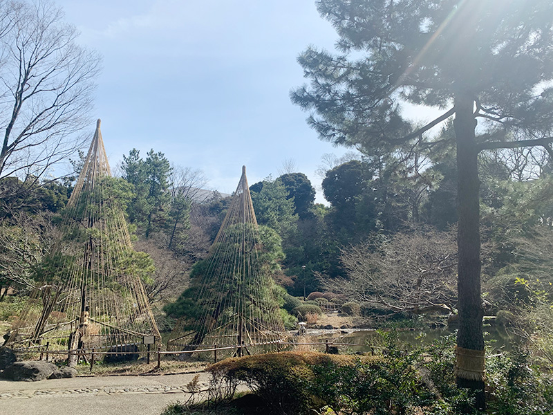 新宿区立甘泉園公園の写真