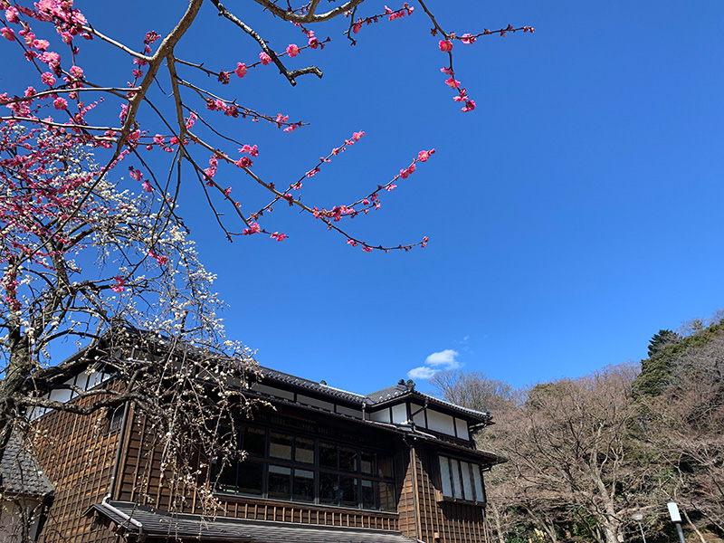 松聲閣の写真