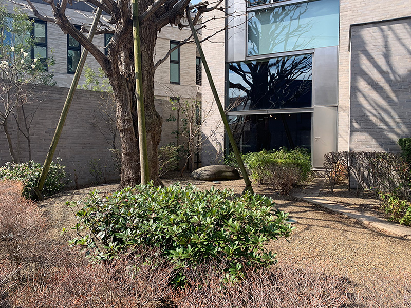文京区立森鴎外記念館の写真3