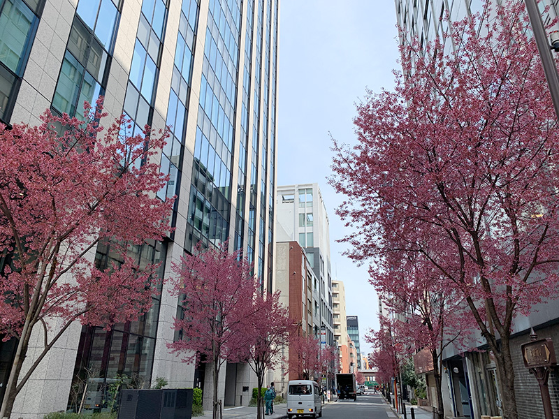 日本橋の写真