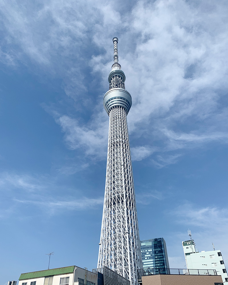 スカイツリーの写真