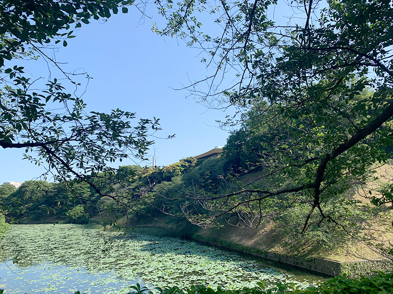 皇居・清水門の写真