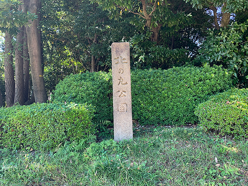 北の丸公園の写真
