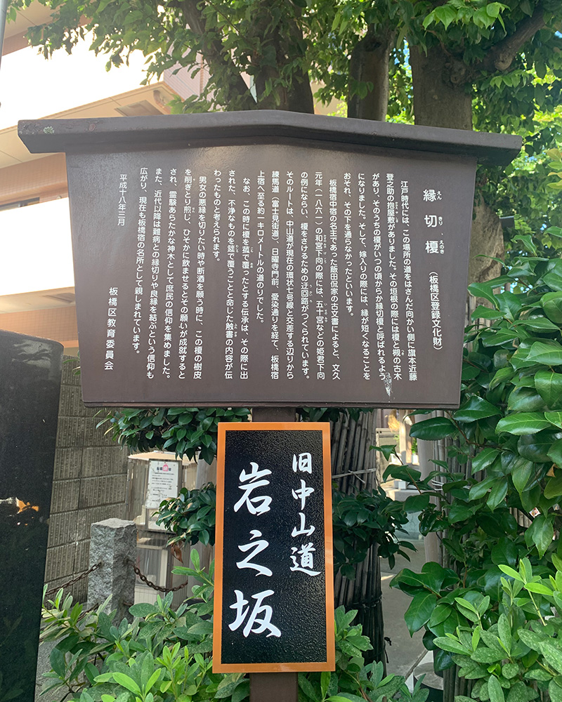 縁切り榎の写真