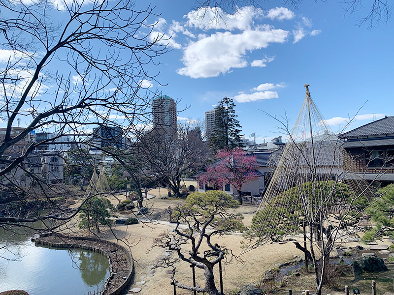 文京区立肥後細川庭園の写真