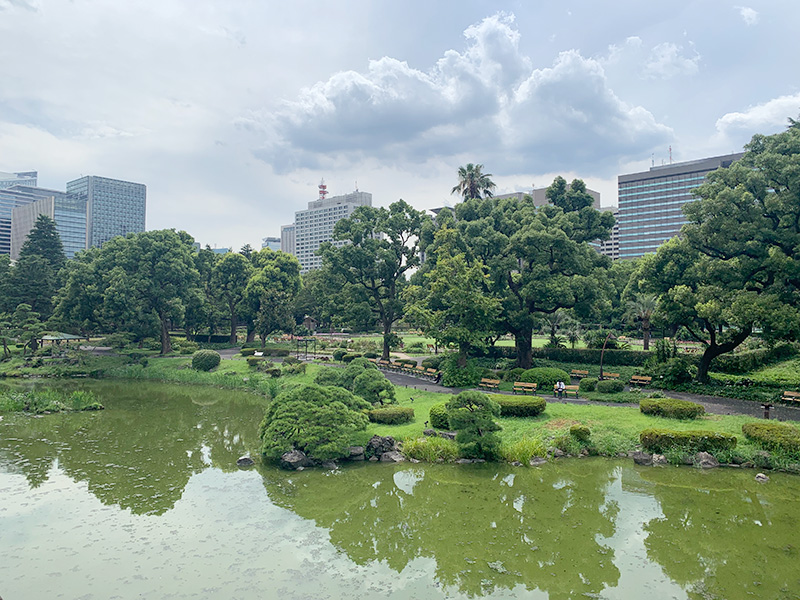 亀の噴水の写真