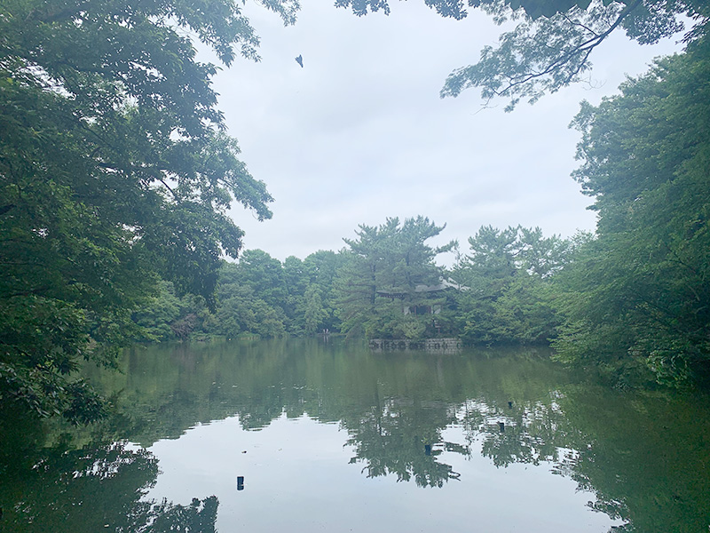 石神井公園の写真