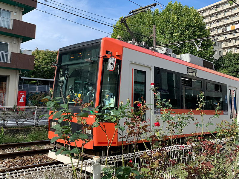 都電荒川線の写真