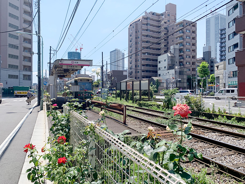 向原駅の写真
