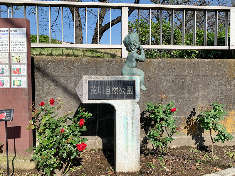 荒川区自然公園の写真