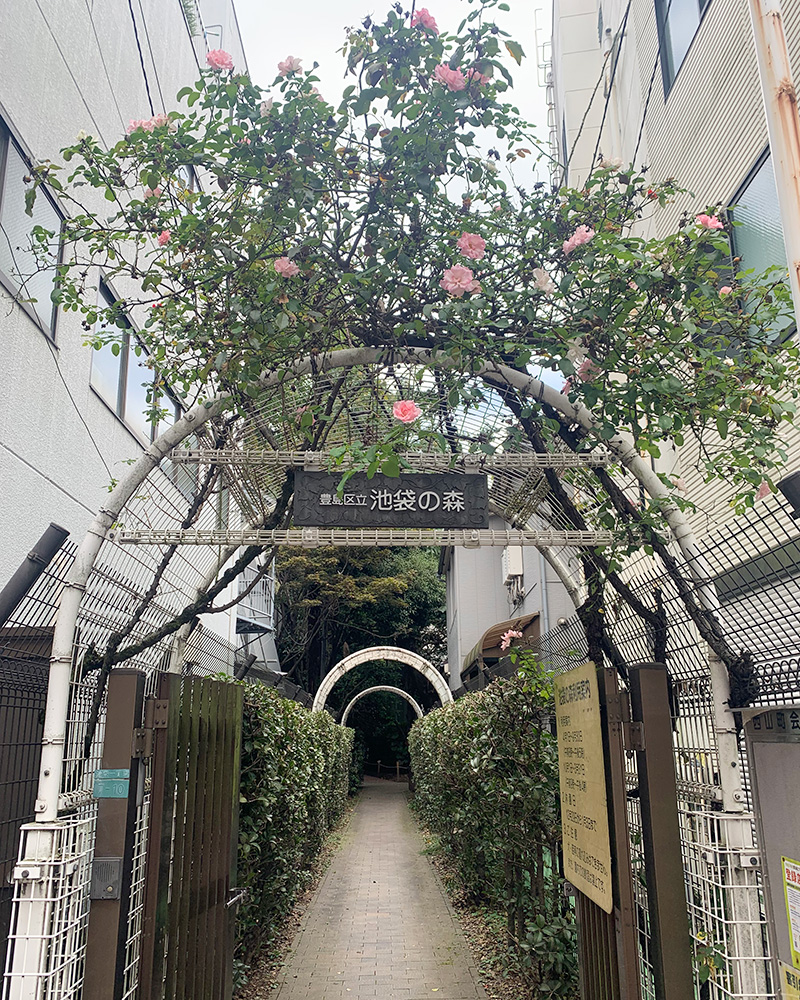 池袋の森の写真