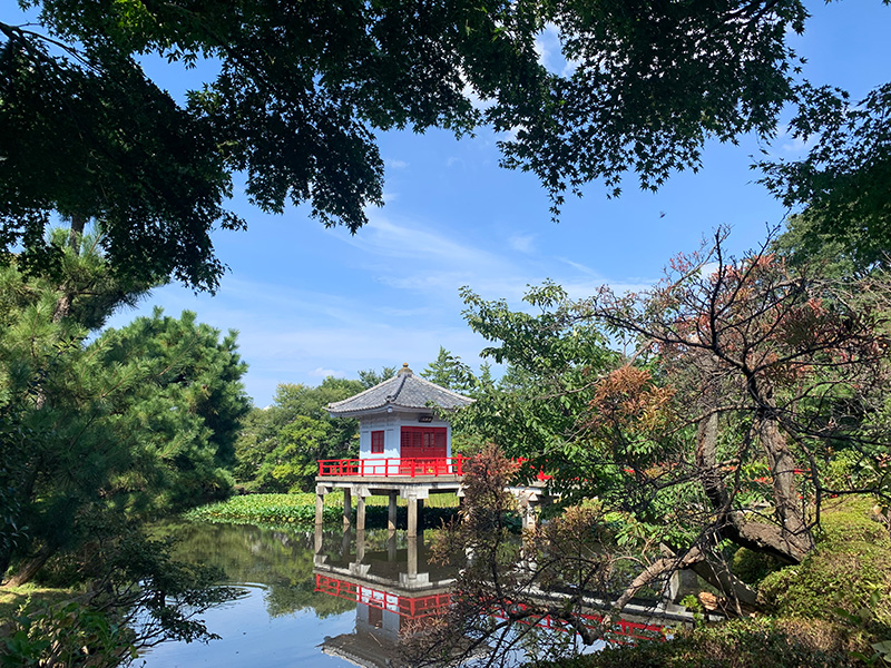 美しい風景の写真