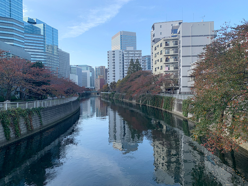 目黒川の写真