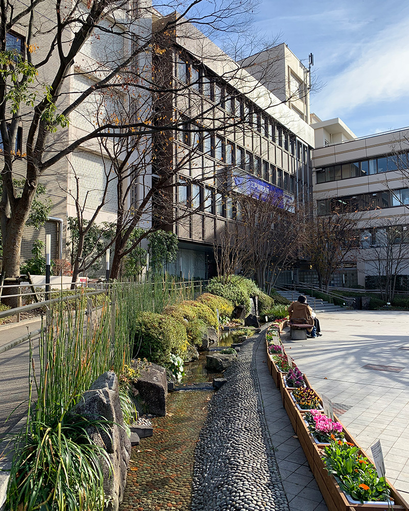 江戸川区役所の写真2