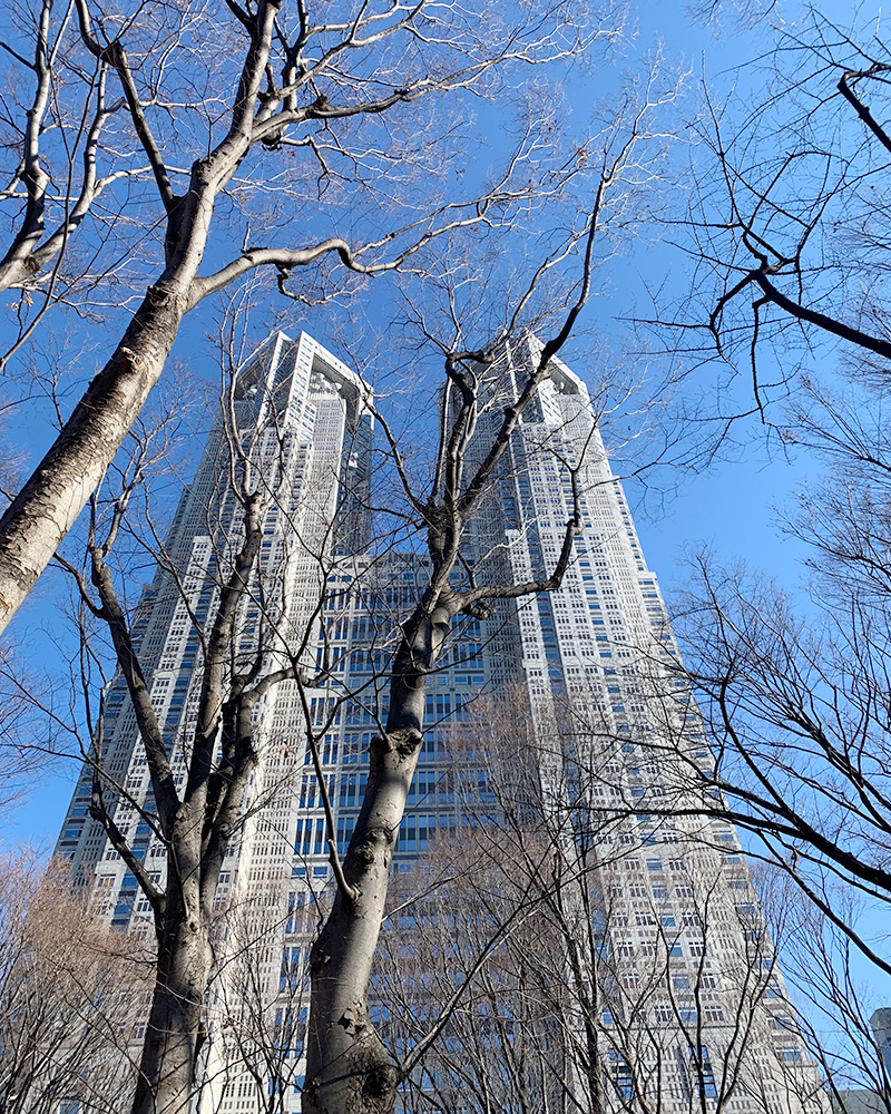 東京都庁の写真
