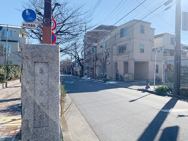さくらみちの写真