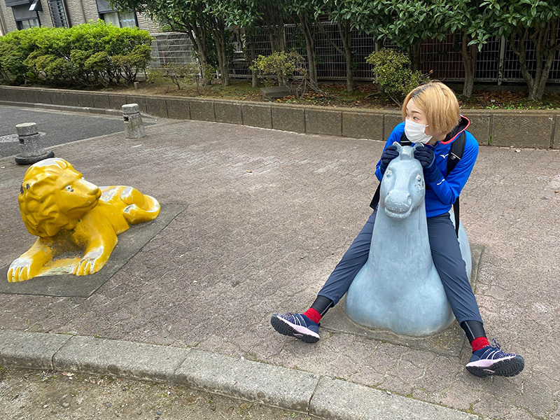 公園のシュールなアニマルの写真