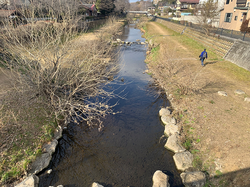 野川の写真
