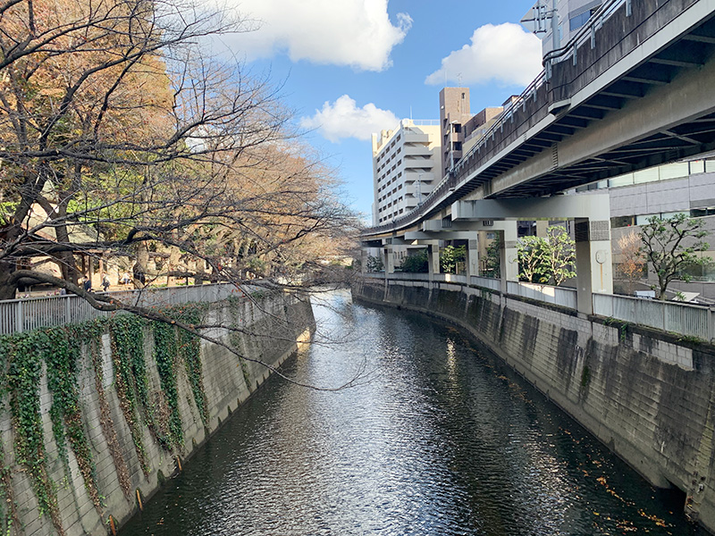 神田川の写真