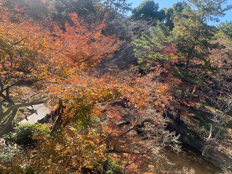 御殿山の写真2