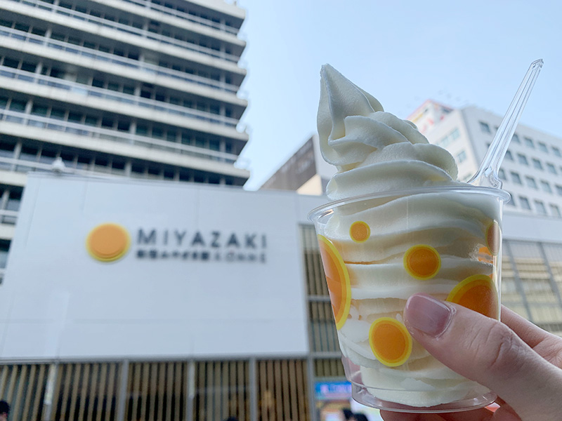 日向夏のソフトクリームの写真