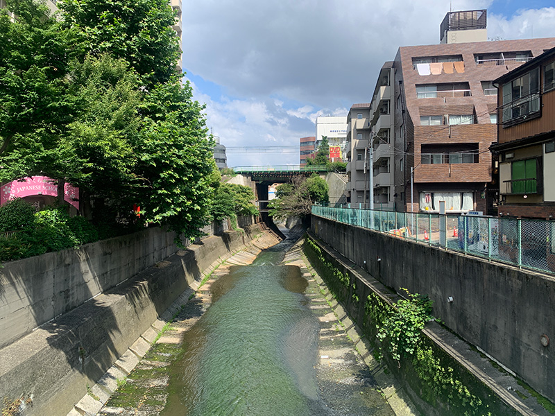 神田川の写真