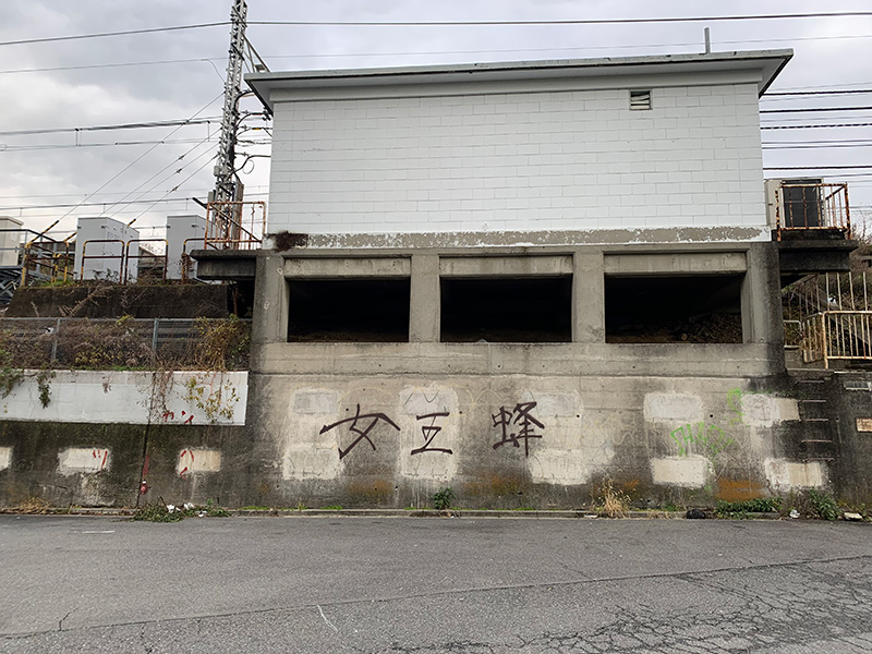 「女王蜂」の落書きの写真