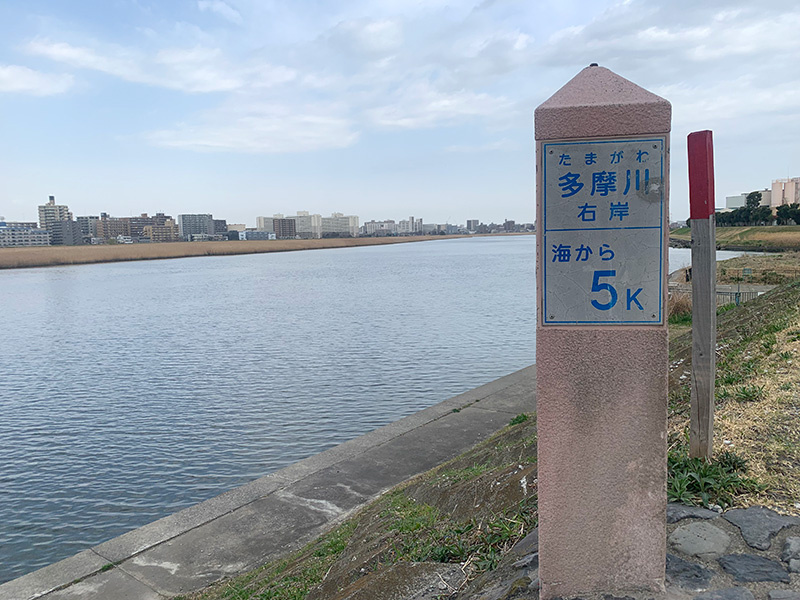 多摩川の写真