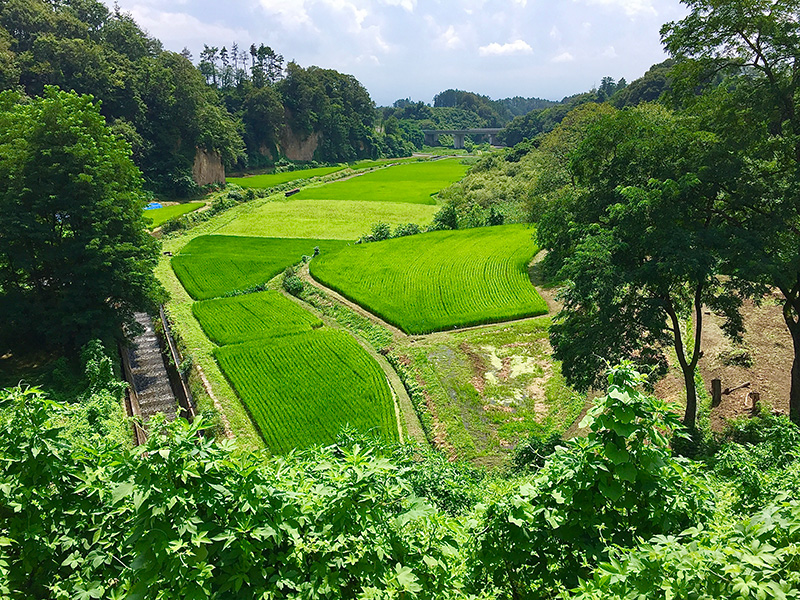 浅間山麓の田切地形の写真