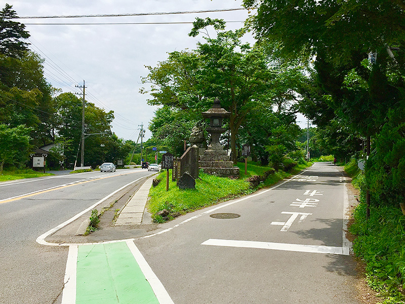 分去れの写真