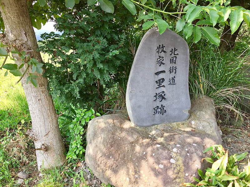 旧街道の証、一里塚の写真