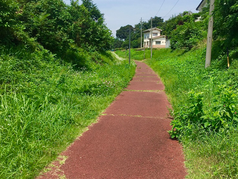 整備された歩道の写真