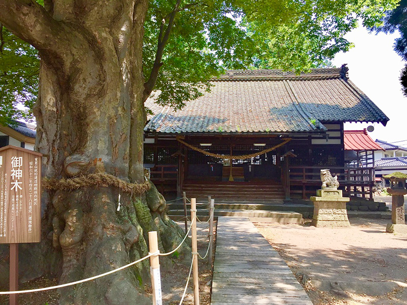 白鳥神社の写真