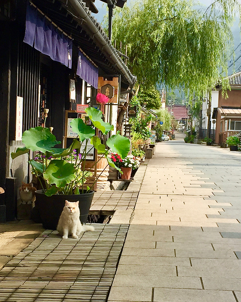 上田宿柳町の写真
